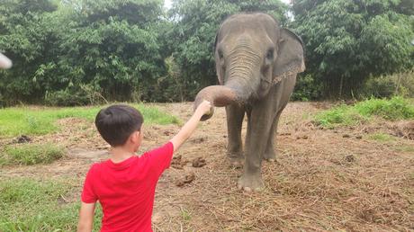 A 3D2N getaway at One of a Kind Resort in Bintan