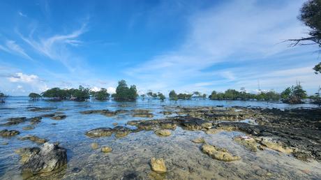 A 3D2N getaway at One of a Kind Resort in Bintan