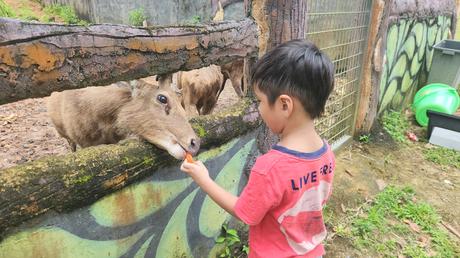 A 3D2N getaway at One of a Kind Resort in Bintan