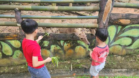 A 3D2N getaway at One of a Kind Resort in Bintan