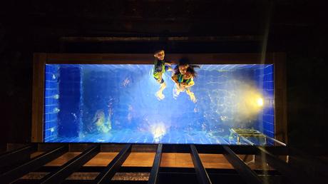 A 3D2N getaway at One of a Kind Resort in Bintan