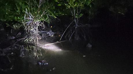 A 3D2N getaway at One of a Kind Resort in Bintan