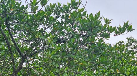 A 3D2N getaway at One of a Kind Resort in Bintan