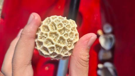 A 3D2N getaway at One of a Kind Resort in Bintan