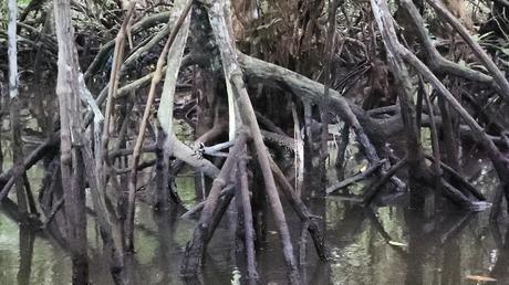 A 3D2N getaway at One of a Kind Resort in Bintan