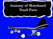 Anatomy Skateboard Truck Parts: Complete Skater’s Breakdown