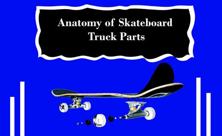 Anatomy of skateboard truck parts