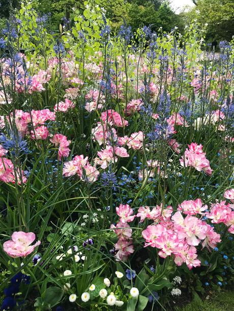 Spring Reverie in Tours, the Loire Valley, France Spring Reverie in Tours, the Loire Valley, France