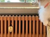 Fancy Little Reward? Become Bestie!