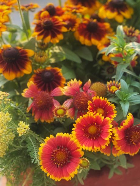 Making My Life My Art  - Fall Edition