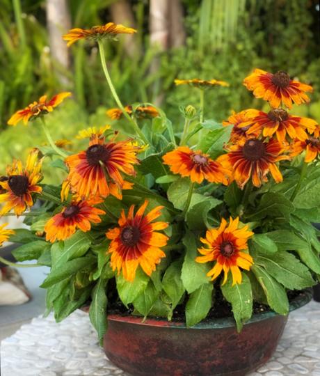 Making My Life My Art  - Fall Edition