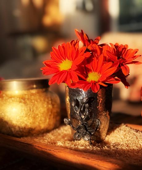 Making My Life My Art  - Fall Edition