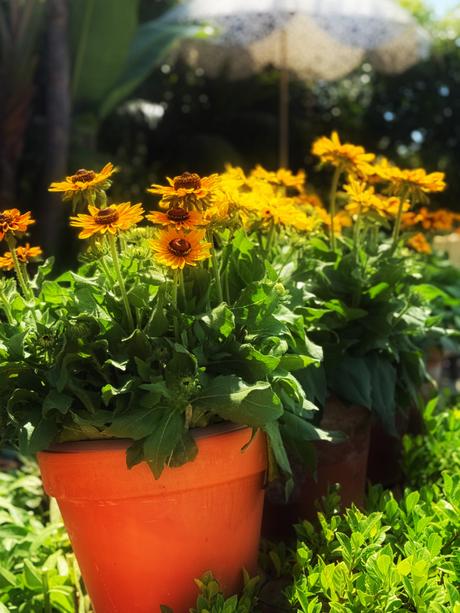 Making My Life My Art  - Fall Edition