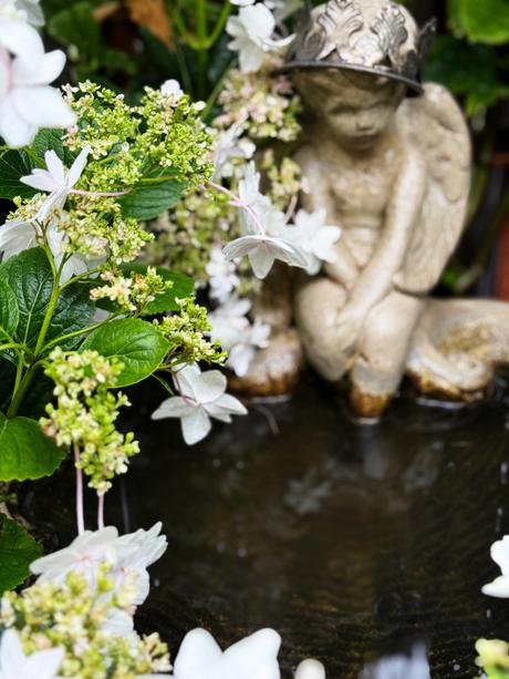 Summer Days With Lennon