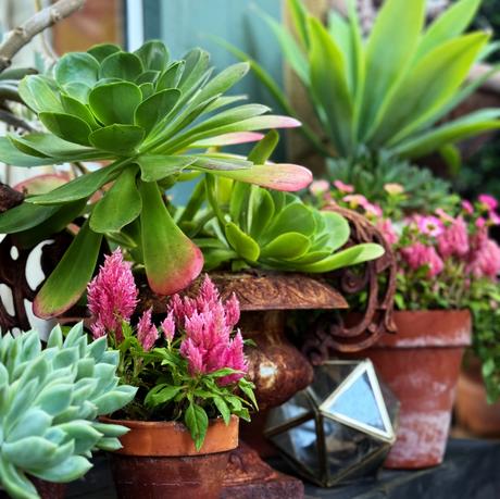 Hello Summer  ... Hello Gratitude