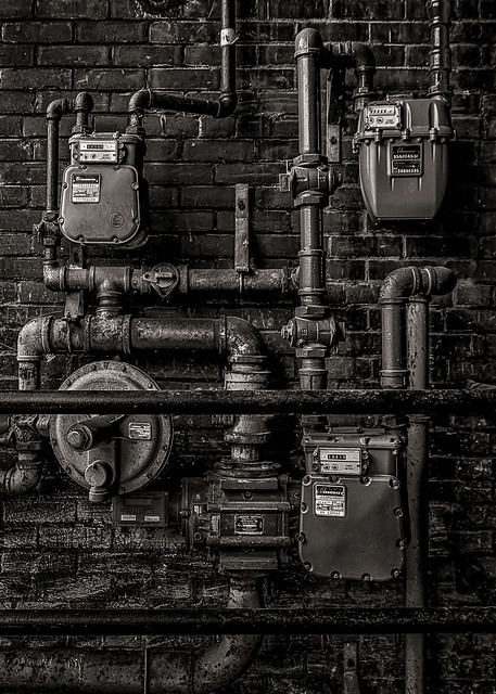 Our Real Wealth is Our Health Our Real Wealth is Our Health