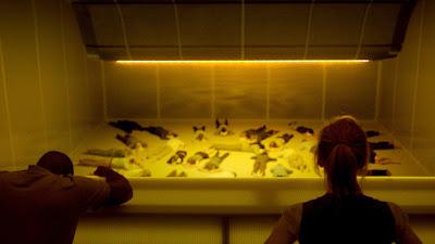 What I've Caught Up With, September 2025 Part 2 What I've Caught Up With, September 2025 Part 2