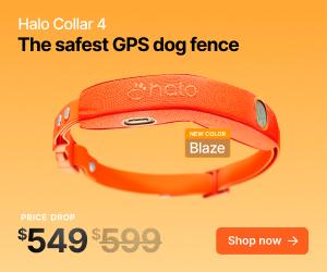 The 3 Best GPS Dog Collars For Hiking And Camping (2025 Update) product image