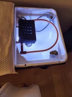 Day Trip to JB for the girlies Day Trip to JB for the girlies