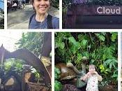 Jurassic World Experience