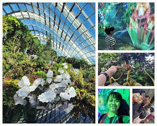 Jurassic World - The Experience Jurassic World - The Experience