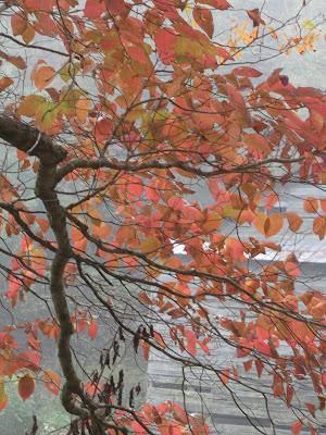 It Starts Small It Starts Small