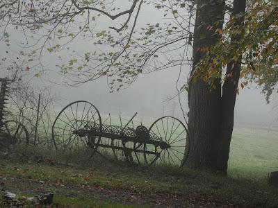 The Old Hay Rake