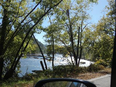 Tick Bite--Lyme Disease? Tick Bite--Lyme Disease?