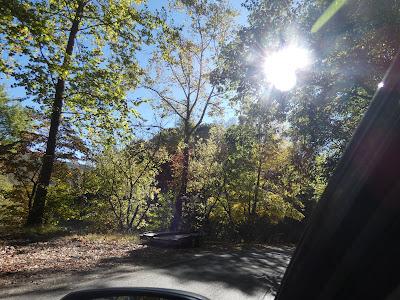 Tick Bite--Lyme Disease? Tick Bite--Lyme Disease?