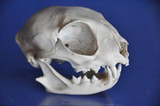 Fearfully and Wonderfully Made Fearfully and Wonderfully Made