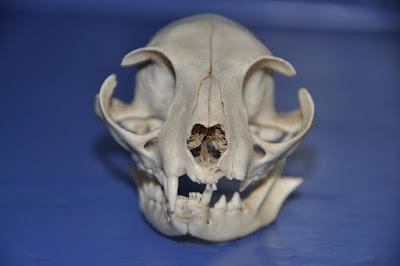 Fearfully and Wonderfully Made Fearfully and Wonderfully Made