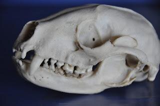 Fearfully and Wonderfully Made Fearfully and Wonderfully Made