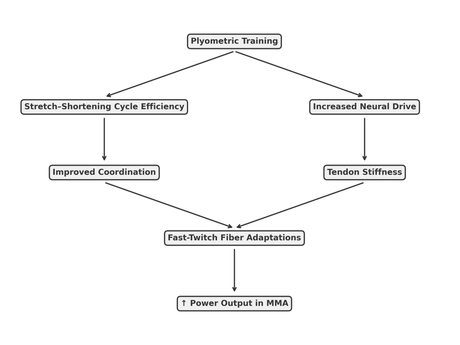 Plyometrics Exercises for MMA [2025] .pdf