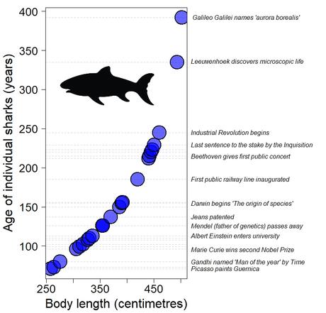 A long life can be a disadvantage