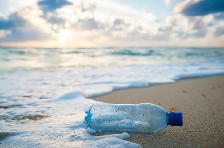 Plastic Water Bottles and Impact on Environment