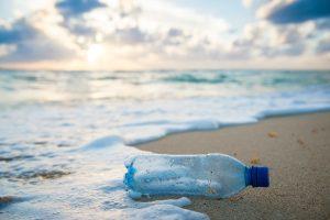 Plastic Water Bottles and Impact on Environment