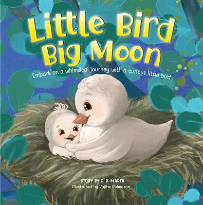 little bird big moon storybook for toddlers little bird big moon storybook for toddlers