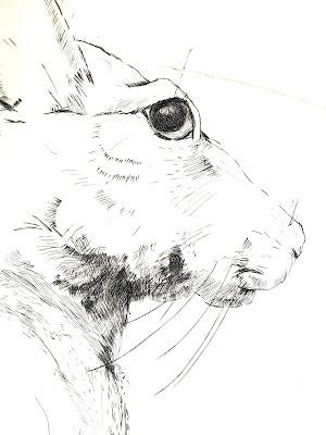 THE ARTIST AND THE HARE: My Antelope Jackrabbit Engraving from Long Ago