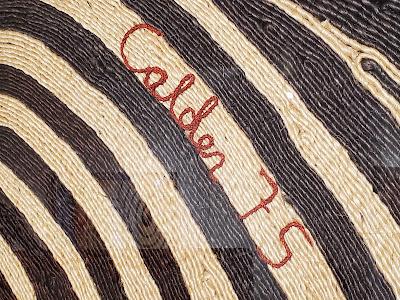 DOTS AND SWIRLS, ALEXANDER CALDER TAPESTRIES, Western Washington University Art Gallery DOTS AND SWIRLS, ALEXANDER CALDER TAPESTRIES, Western Washington University Art Gallery