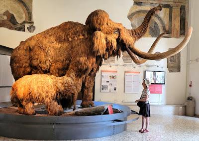 WHEN MAMMOTHS WALKED THE EARTH: Meeting Wooly Mammoths in the Natural Science Museum, Bergamo, Italy