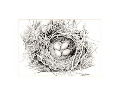 FIVE NESTS ILLUSTRATION BY RUTH SANDERSON, On Display at the Free Library of Philadelphia