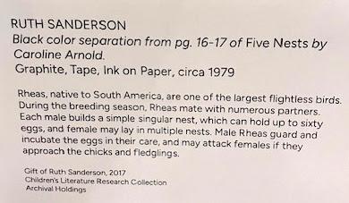 FIVE NESTS ILLUSTRATION BY RUTH SANDERSON, On Display at the Free Library of Philadelphia FIVE NESTS ILLUSTRATION BY RUTH SANDERSON, On Display at the Free Library of Philadelphia