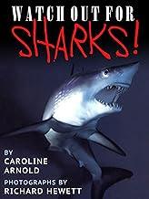 READ ABOUT SHARKS DURING SHARK WEEK and Beyond READ ABOUT SHARKS DURING SHARK WEEK and Beyond
