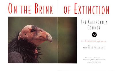 ON THE BRINK OF EXTINCTION: THE CALIFORNIA CONDOR Now Available as an E-Book