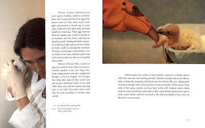 ON THE BRINK OF EXTINCTION: THE CALIFORNIA CONDOR Now Available as an E-Book