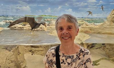 PTEROSAURS, Winged Reptiles of the Dinosaur Age: A Visit with Eudimorphodon in Bergamo, Italy