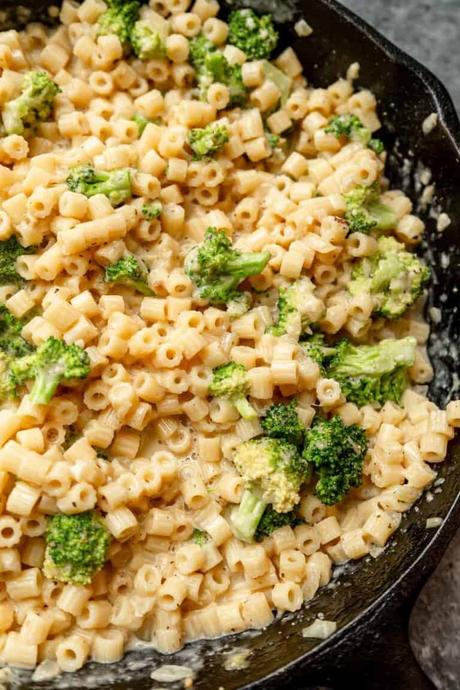 an overhead shot of cream broccoli pasta