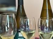 Sipping Alps: Discovering Alpine Whites Cantina Bolzano