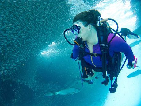 Explore the World’s Best Diving Locations