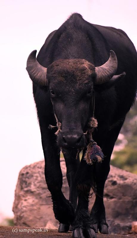 அழகி நீ பேரழகி, அழகான கண்ணழகி ~ Beauty lies in the eyes of beholder அழகி நீ பேரழகி, அழகான கண்ணழகி ~ Beauty lies in the eyes of beholder